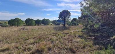 Terrain seul à Pouzolles en Hérault (34) de 6370 m² à vendre au prix de 19500€ - 3