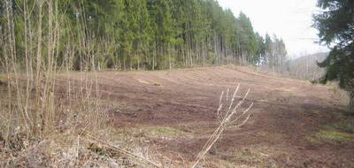 Terrain seul à Saint-Dié-des-Vosges en Vosges (88) de 10078 m² à vendre au prix de 99000€ - 1