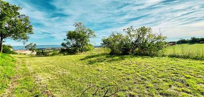 Terrain seul à Laurac en Aude (11) de 2400 m² à vendre au prix de 75000€ - 3