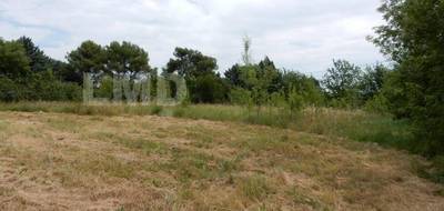 Terrain seul à Bagard en Gard (30) de 2000 m² à vendre au prix de 160500€ - 2
