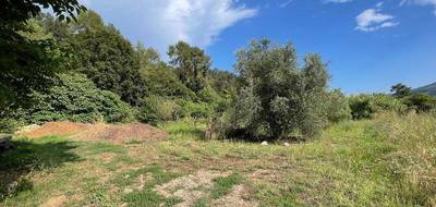 Terrain seul à Pégomas en Alpes-Maritimes (06) de 9720 m² à vendre au prix de 990000€ - 1