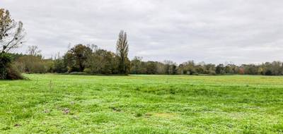 Terrain seul à Chepniers en Charente-Maritime (17) de 3600 m² à vendre au prix de 74000€ - 1