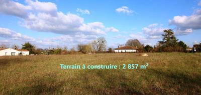 Terrain seul à Belluire en Charente-Maritime (17) de 2857 m² à vendre au prix de 29000€ - 1