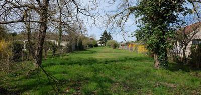 Terrain seul à Faverolles-sur-Cher en Loir-et-Cher (41) de 1766 m² à vendre au prix de 33000€ - 2
