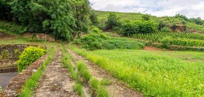 Terrain seul à Chavanay en Loire (42) de 714 m² à vendre au prix de 105000€ - 2