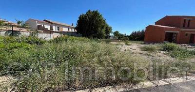 Terrain seul à Claira en Pyrénées-Orientales (66) de 0 m² à vendre au prix de 141750€ - 2