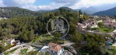 Terrain seul à Contes en Alpes-Maritimes (06) de 10000 m² à vendre au prix de 2200000€ - 2