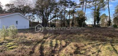 Terrain seul à Josse en Landes (40) de 711 m² à vendre au prix de 134000€ - 2