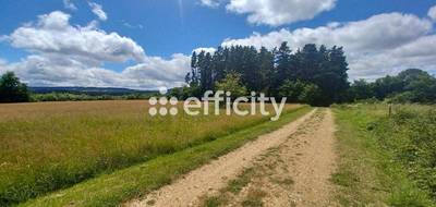 Terrain seul à Ruynes-en-Margeride en Cantal (15) de 10021 m² à vendre au prix de 53889€ - 3