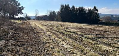 Terrain seul à Violay en Loire (42) de 865 m² à vendre au prix de 85000€ - 4