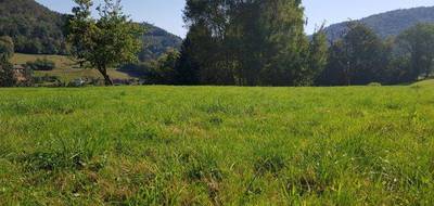 Terrain seul à Le Val-d'Ajol en Vosges (88) de 2683 m² à vendre au prix de 36600€ - 3