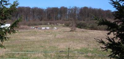 Terrain seul à Dampleux en Aisne (02) de 8000 m² à vendre au prix de 294000€ - 3