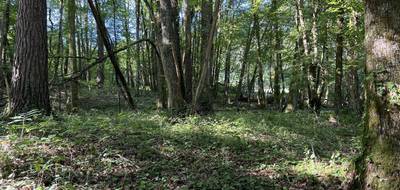 Terrain seul à Brive-la-Gaillarde en Corrèze (19) de 14696 m² à vendre au prix de 66000€ - 2