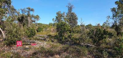 Terrain seul à Uzès en Gard (30) de 1050 m² à vendre au prix de 135000€ - 4