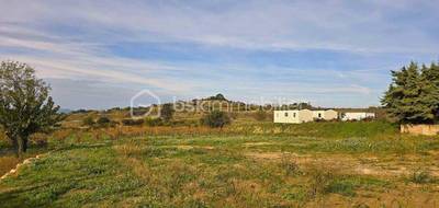 Terrain seul à Saint-Pargoire en Hérault (34) de 400 m² à vendre au prix de 120000€ - 2