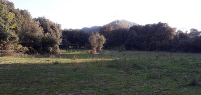 Terrain seul à Corte en Haute-Corse (2B) de 4360 m² à vendre au prix de 340700€ - 1