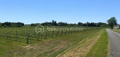 Terrain seul à Mazion en Gironde (33) de 24000 m² à vendre au prix de 213640€ - 3