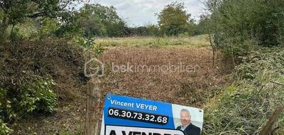 Terrain seul à Brains-sur-Gée en Sarthe (72) de 2300 m² à vendre au prix de 43900€ - 3