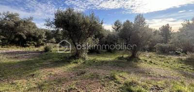 Terrain seul à Solliès-Ville en Var (83) de 3900 m² à vendre au prix de 313500€ - 2