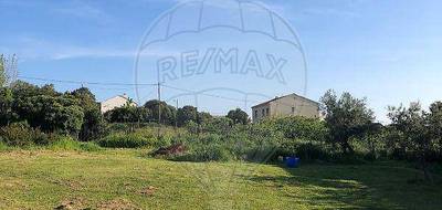 Terrain seul à Pietroso en Haute-Corse (2B) de 1151 m² à vendre au prix de 93200€ - 2