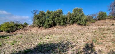 Terrain seul à Caunes-Minervois en Aude (11) de 1600 m² à vendre au prix de 82000€ - 2