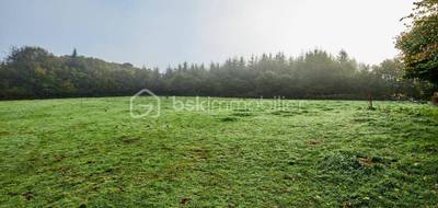 Terrain seul à Bourbriac en Côtes-d'Armor (22) de 61230 m² à vendre au prix de 60000€ - 4