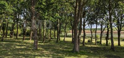 Terrain seul à Plomodiern en Finistère (29) de 3500 m² à vendre au prix de 42900€ - 2