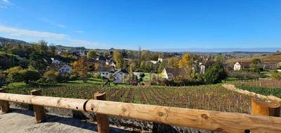 Terrain seul à Arbois en Jura (39) de 3014 m² à vendre au prix de 130000€ - 1