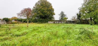 Terrain seul à Chinon en Indre-et-Loire (37) de 1510 m² à vendre au prix de 134000€ - 1