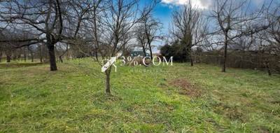 Terrain seul à Ingenheim en Bas-Rhin (67) de 1200 m² à vendre au prix de 96000€ - 2