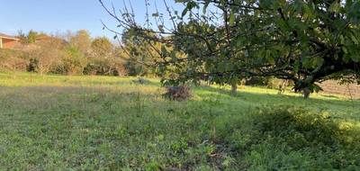 Terrain seul à Belpech en Aude (11) de 3174 m² à vendre au prix de 90000€ - 3