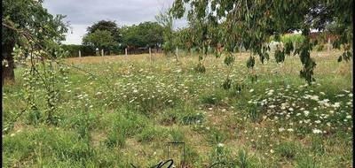 Terrain seul à Baugé-en-Anjou en Maine-et-Loire (49) de 1300 m² à vendre au prix de 54000€ - 1