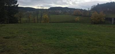 Terrain seul à Dunières en Haute-Loire (43) de 1218 m² à vendre au prix de 39900€ - 2