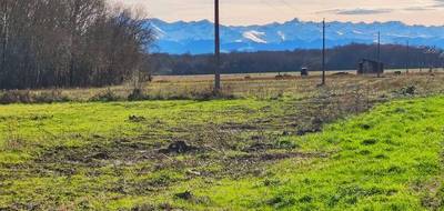 Terrain seul à Escondeaux en Hautes-Pyrénées (65) de 7732 m² à vendre au prix de 104000€ - 1