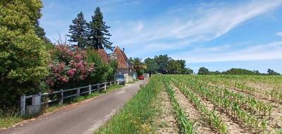 Terrain seul à Mugron en Landes (40) de 566 m² à vendre au prix de 50000€ - 3