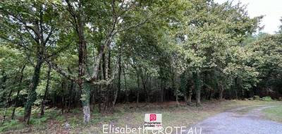 Terrain seul à Sanguinet en Landes (40) de 1677 m² à vendre au prix de 49990€ - 2