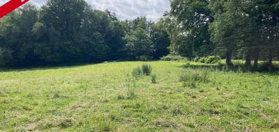 Terrain seul à Saint-Clément en Corrèze (19) de 5061 m² à vendre au prix de 34000€ - 2