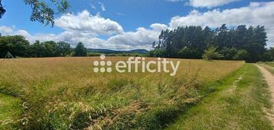 Terrain seul à Ruynes-en-Margeride en Cantal (15) de 10021 m² à vendre au prix de 53889€ - 1