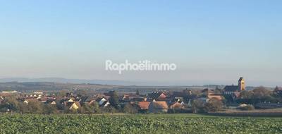 Terrain seul à Saessolsheim en Bas-Rhin (67) de 750 m² à vendre au prix de 126500€ - 2