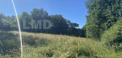 Terrain seul à Puylagarde en Tarn-et-Garonne (82) de 9381 m² à vendre au prix de 54000€ - 1