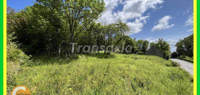 Terrain seul à Châteauneuf-sur-Cher en Cher (18) de 6780 m² à vendre au prix de 35000€ - 1