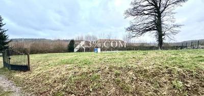 Terrain seul à Baccarat en Meurthe-et-Moselle (54) de 1797 m² à vendre au prix de 65000€ - 1