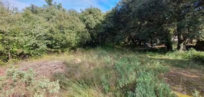 Terrain seul à Uzès en Gard (30) de 2638 m² à vendre au prix de 267500€ - 1