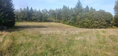 Terrain seul à Saint-Sylvestre en Haute-Vienne (87) de 10959 m² à vendre au prix de 55000€ - 3