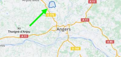 Terrain seul à Le Lion-d'Angers en Maine-et-Loire (49) de 1800 m² à vendre au prix de 77000€ - 2