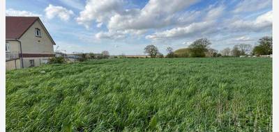 Terrain seul à Longueval en Somme (80) de 1750 m² à vendre au prix de 33500€ - 1