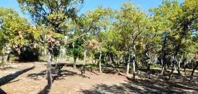 Terrain seul à Forcalquier en Alpes-de-Haute-Provence (04) de 820 m² à vendre au prix de 138000€ - 1