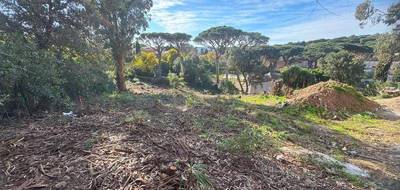 Terrain seul à Roquebrune-sur-Argens en Var (83) de 1630 m² à vendre au prix de 728000€ - 4