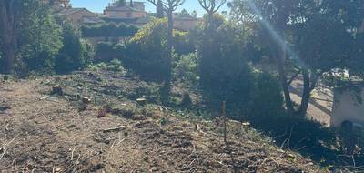 Terrain seul à Roquebrune-sur-Argens en Var (83) de 1630 m² à vendre au prix de 728000€ - 3