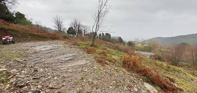 Terrain seul à Pero-Casevecchie en Haute-Corse (2B) de 1950 m² à vendre au prix de 66000€ - 3